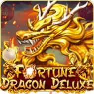 Fortune Dragon DeluxePlayace